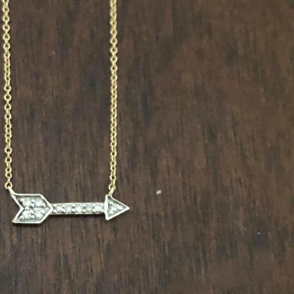 Stella & Dot Covet Pave Adventure necklace